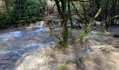 Tocht Stappen Vallon-Pont-d'Arc - cascade de pissevieille  - Photo 9
