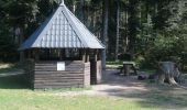 Tour Wandern Reinhardsmünster - table des Géants  - Photo 6