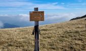Trail Walking Prats-de-Mollo-la-Preste - Fourquettes Collada del vent Roches banches  retour - Photo 4