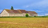 Tocht Stappen Nailly - Boucle 25 km autour de Nailly  - Photo 4