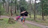 Excursión Senderismo Dambach-la-Ville - Château du Bernstein - Photo 4