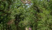Trail Walking Penne - Fabre - les Suquets - Photo 4