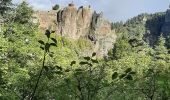 Tour Wandern Arlempdes - Arlempdes Montagnac depuis Freceney - Photo 2