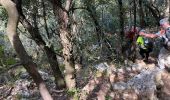 Tour Wandern Gémenos - Espigoullier vers Nans les pins  - Photo 9