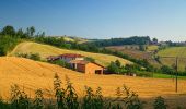 Trail On foot Colli Verdi - Anello Monte Barbera - Photo 4