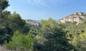 Trail Walking Saint-Rémy-de-Provence - Reny la chaume  - Photo 2