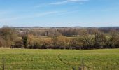 Tour Elektrofahrrad Saint-Clément - sortie vtt du 13022022 Baccarat  - Photo 5