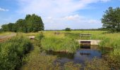 Tour Zu Fuß Alt Zauche-Wußwerk - weg Wußwerk-Caminchen- Waldow-Mochow-Mochowsee - Photo 5