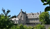 Tour Wandern Aywaille - Balade aux coquelicots digitales et fraises des bois à partir du château de Harzé - Photo 9