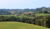 Tocht Te voet Bichelsee-Balterswil - Niederwies - Sitzberg - Photo 2