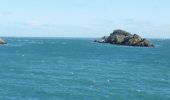 Randonnée Marche Cancale - Cancale - Pointe du Grouin  - Photo 6