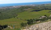 Tour Nordic Walking Balaruc-le-Vieux - la Guardiole - Photo 1