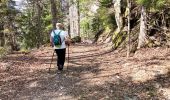 Trail Walking Saint-Martin-en-Vercors - Le pas St Martin depuis le Chalet Nordique - Photo 3