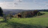 Randonnée Marche Houffalize - Engreux 021122 - Photo 1