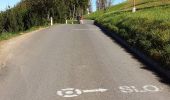 Percorso A piedi Ehrenhausen an der Weinstraße - Weinwanderweg Ratsch-Ottenberg - Photo 1