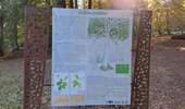 Trail Walking Arbois - Arbois Pupillin Arbois - Photo 12