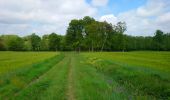 Tour Wandern Le Boulay - le Boulay - circuits Le pain sec et le Boulay avec variante le Sentier - 21.4km 180m 5h15 - 2022 05 05 - Photo 1