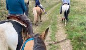 Trail Horseback riding Ban-sur-Meurthe-Clefcy - Aline Tivio fraize  - Photo 7