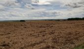Trail Walking Estinnes - Rpeissant - Photo 2