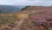 Trail Walking Prévenchères - GORGES DU CHASSEZAC DEPUIS LA GARDE- GUERIN - Photo 5