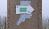 Tocht Stappen Verlaine - 2025-01-19_13h03m19_circuit_autour_du_chateau_de_seraing-le-chateau-3 - Photo 12