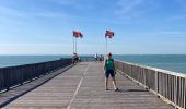 Trail Walking Le Havre - Sainte Adresse  - Photo 11