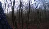 Randonnée V.T.T. Couvin - VTT de Mariembourg au Ry de Rome - Photo 2
