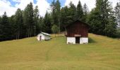 Trail On foot Domegge di Cadore - IT-347 - Photo 4