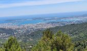 Randonnée Marche Évenos - Toulon Col du corps de garde Mont Caume - Photo 2