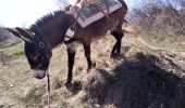 Trail Donkey back riding Livron-sur-Drôme - Abiche toundra - Photo 7