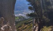 Tocht Stappen Saint-Pierre-de-Chartreuse - tour de la Dent de crolles par des sangles  - Photo 9