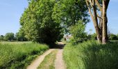 Trail Walking Hannut - La balade des chevées (5km)  - Photo 1