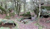 Trail Walking Moustoir-Ac - PR_56_Moustoir-Ac_AA_01_Au-Fil-De-L-Eau_Circuit1b_20231014 - Photo 7