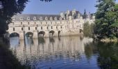 Trail Walking Chenonceaux - Chenonceaux - Photo 6