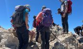Trail Walking La Orotava - Montana Blanca Refuge Altavista Forteleza La Rambletta Teide 3718 m - Photo 10