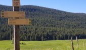 Tocht Stappen Fillière - ronceveau au col du freu 24 juin 19 - Photo 3