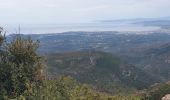 Trail Walking Fréjus - mt vinaigre 1 - Photo 2