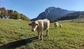 Tocht Stappen Saint-Nizier-du-Moucherotte - Plateau Charvet (petite boucle) - Photo 4