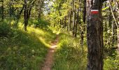 Trail Walking Mirabel-et-Blacons - Chapelle Saint-Christophe - Charsac - Photo 16