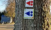 Tocht Mountainbike La Roche-en-Ardenne - 17 novembre  - Photo 8