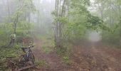Trail Mountain bike Seyssins - Le Rocher du Châtelard  (Reco) - Photo 3