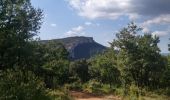 Randonnée Marche Tourves - Gorges du Caramy - Photo 2