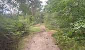 Randonnée Marche Coyolles - en Forêt de Retz_96_08_2025_autour de l'Enclave de Vauciennes - Photo 17