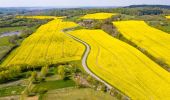 Randonnée A pied Giekau - Streetzer Berge - Photo 4