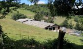 Randonnée Marche Yzeron - Izeron - Des cascades à la Madonne - Photo 8