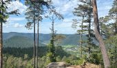 Trail Walking Saulcy-sur-Meurthe - Les roches du Kemberg - Photo 9