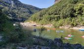 Randonnée Marche Le Garn - Gorges de l'Ardèche  - Photo 8