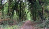 Percorso Marcia Le Vaudoué - Le Vaudoué entre champs et forêt - Photo 9