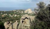 Percorso Marcia Calvi - Citadelle Calvi - Village - Notre dame de la Serra - Photo 17