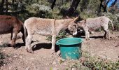 Trail Walking La Garde-Freinet - LA GARDE FREINET - PATRIMOINE DES MOULINS ET CHAPELLES - Photo 16